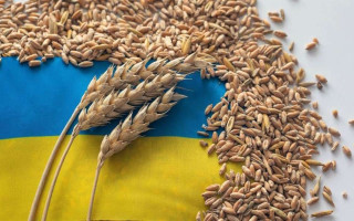 Болгарія скасує заборону на імпорт низки товарів з України