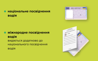 Чим відрізняється національне посвідчення водія від міжнародного: фахівці пояснили