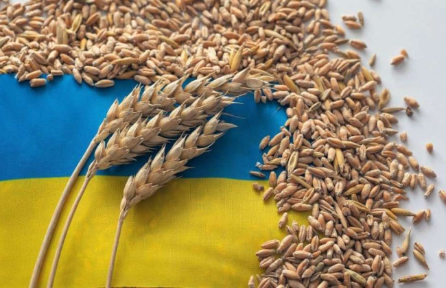 Болгария отменит запрет на импорт ряда товаров из Украины