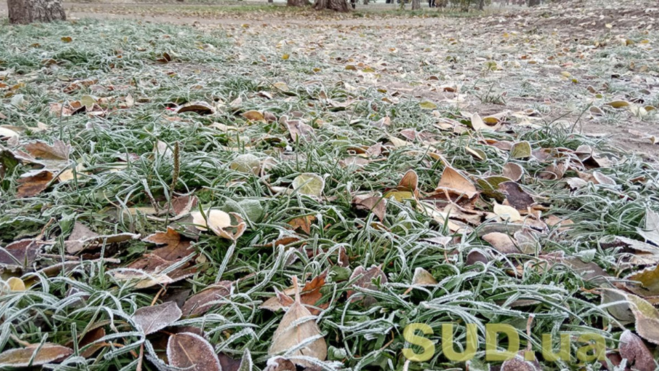 В Україні знову вдарять морози: в яких областях очікувати