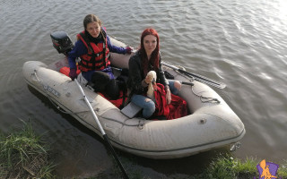 На Вінниччині врятували лебедя, який водив рятувальників за ніс більше трьох годин, фото