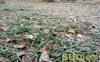 В Украине снова ударят морозы: в каких областях ждать