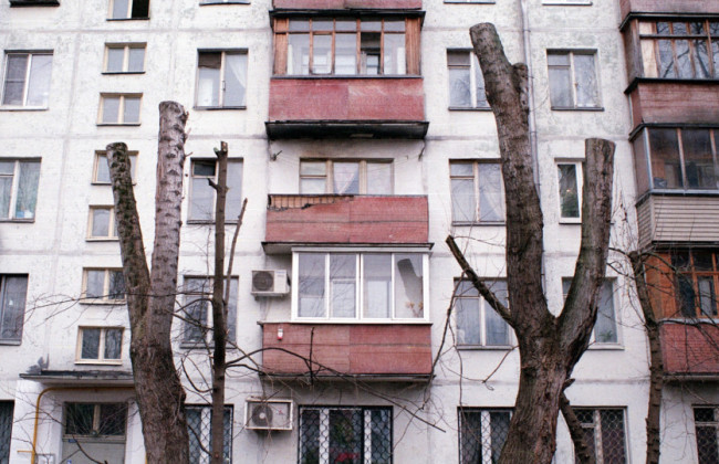 Екс-керівники Київзеленбуду постануть перед судом за схеми з розкраданням коштів