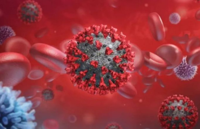 Коронавирус никогда не будет полностью искоренен: в ВОЗ назвали причину