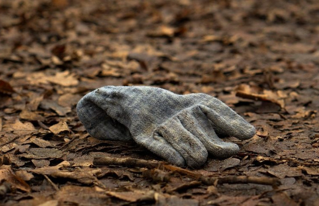 Только МВД – гражданам сообщили, где получить выписку из Единого реестра лиц, пропавших без вести при особых обстоятельствах