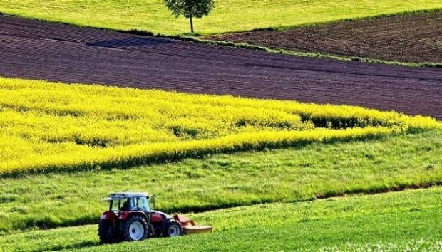 КГС ВС разъяснил нормы законодательства о пролонгации договора аренды земли в условиях военного положения