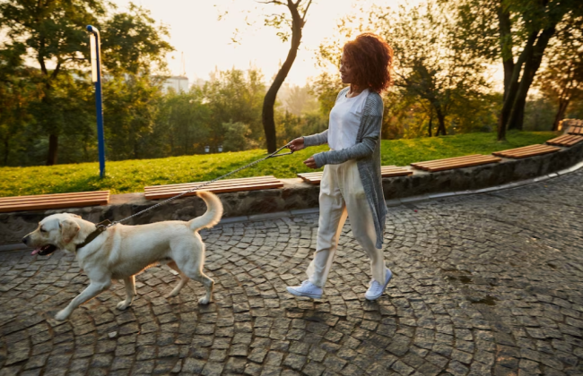 Какой уровень загрязненности воздуха и радиационный фон в Киеве 7 мая