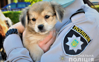 Поліцейські взяли участь в тренінгу щодо кваліфікації правопорушень у сфері жорстокого поводження з тваринами