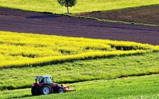 КГС ВС разъяснил нормы законодательства о пролонгации договора аренды земли в условиях военного положения