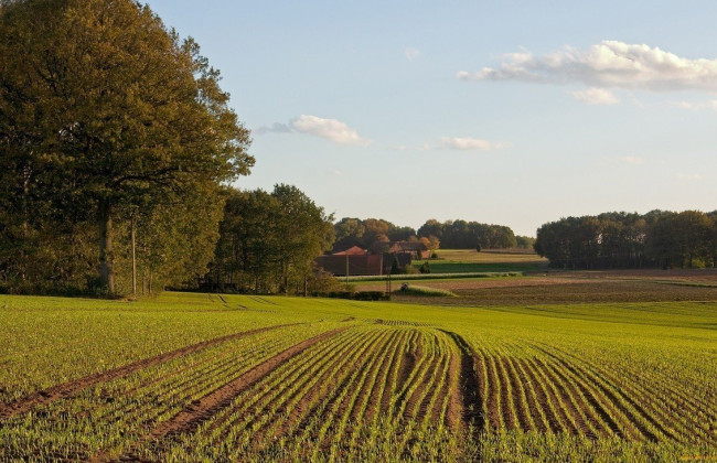 Верховна Рада ухвалила зміни до Земельного кодексу, пов’язані із набуттям права власності на земельні ділянки