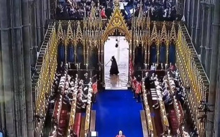 «Смерть з косою»: на коронацію Чарльза III завітав таємничий гість у чорному, відео