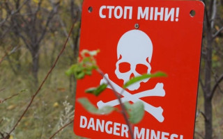 На Миколаївщині на ворожих вибухових пристроях підірвалися два трактори