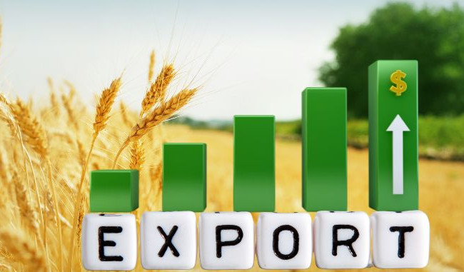 Украина и ЕС создадут общую платформу для решения проблем экспорта агропродукции