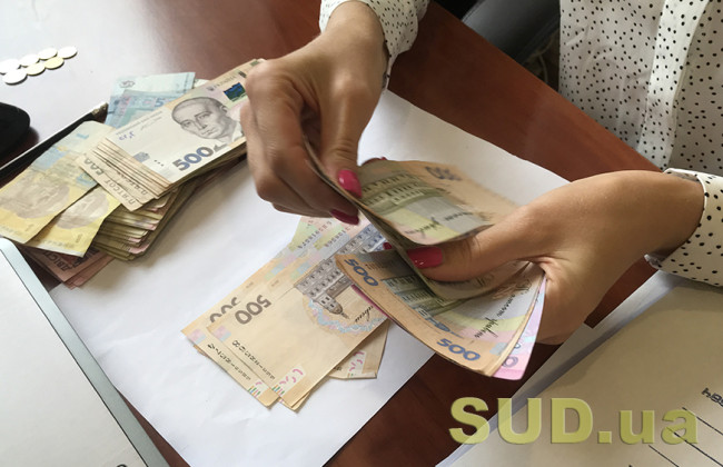 Имеет ли право налоговая осуществлять контроль за начислением работникам зарплаты, не ниже минимальной