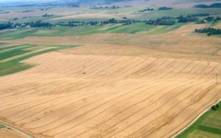 Кабінет міністрів скоротив максимальну кількість заступників голови Держслужби геодезії, картографії та кадастру