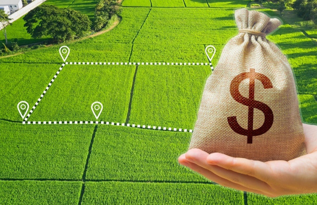 В Украине сельхозземля в 2023 году подорожала на 20%, — Минагрополитики