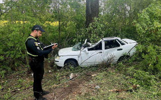 Взяв авто батьків та, не справившись з керуванням, в'їхав у дерево: на Київщині розслідують ДТП за участі неповнолітніх