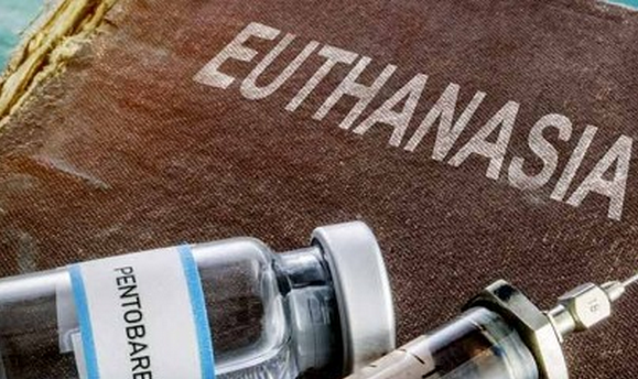 В Португалии узаконили «искусственную смерть», несмотря на многочисленные вето от президента страны