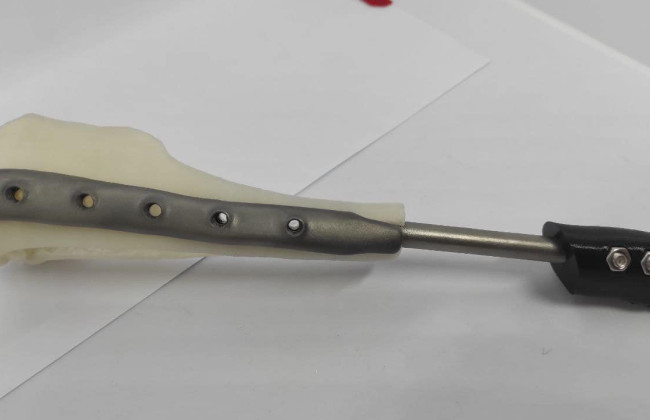 У Харкові вперше поставили біоінтегрований протез собаці — вона втратила лапу через обстріл росіян, відео