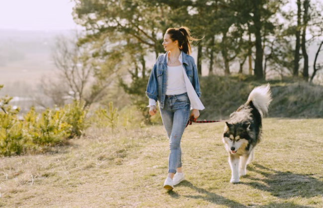 Какой уровень загрязненности воздуха и радиационный фон в Киеве 15 мая