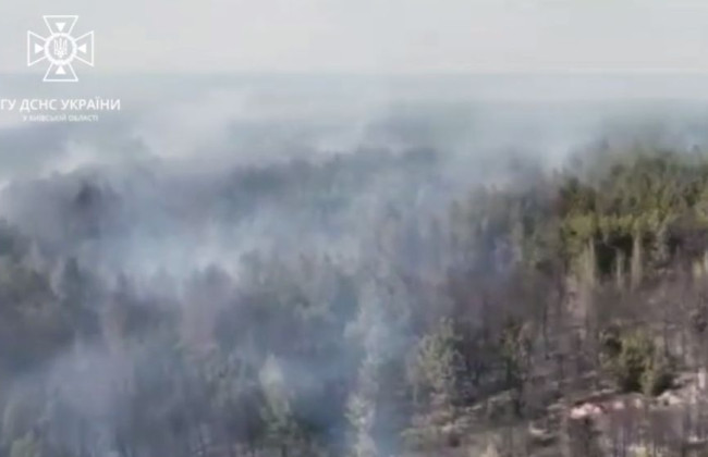 Масштабный пожар под Киевом: появилось видео с высоты птичьего полета