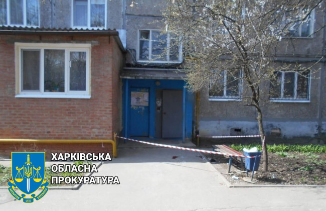 Ударила знакомого ножом в голову, потому что была очень «взволнована»: на Харьковщине вынесли приговор местной жительнице