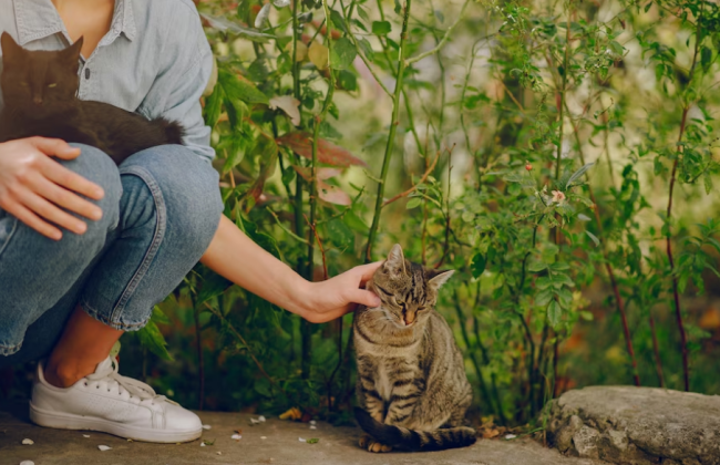 Какой уровень загрязненности воздуха и радиационный фон в Киеве 19 мая