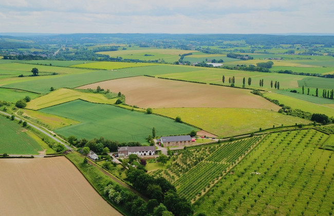 Кабмін затвердив систему публічного моніторингу земельних відносин