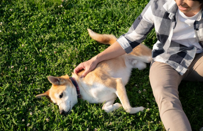Какой уровень загрязненности воздуха и радиационный фон в Киеве 21 мая