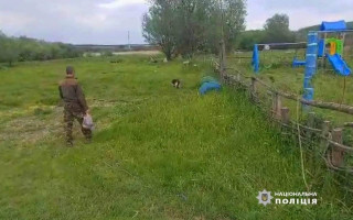 На Одесщине в течение 5 часов разыскивали 4-летнего мальчика: что произошло