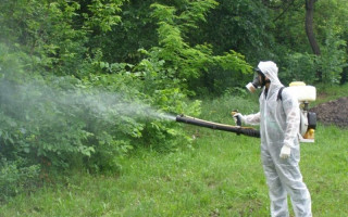 В Киеве парки будут обрабатывать ядом от клещей: куда лучше не ходить