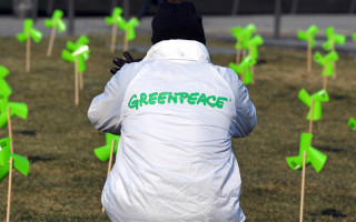 В рф признали «нежелательной» деятельность Greenpeace: российское отделение закрылось