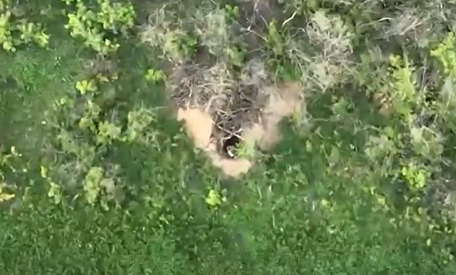 Біля Бахмута ЗСУ атакують позиції окупантів впритул до їхніх бліндажів, відео