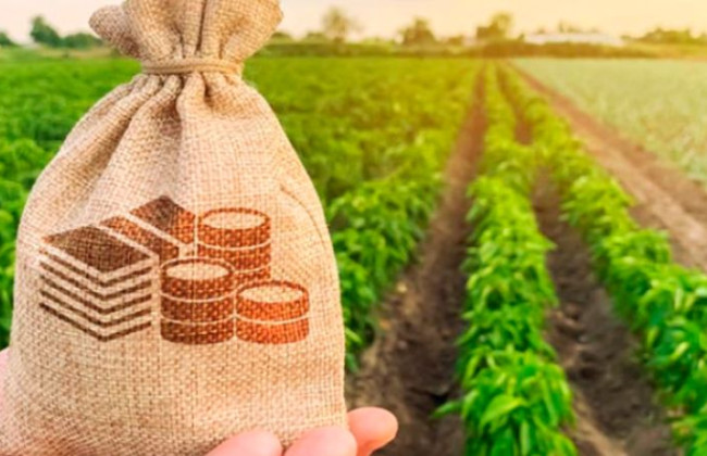 Підбурювали аграріїв до надання хабаря у розмірі понад пів мільйона гривень: НАБУ і САП викрили двох громадян України