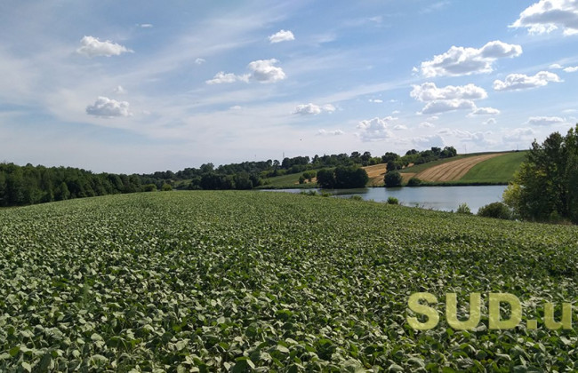 Як уникнути конфлікту інтересів під час голосування щодо оренди землі для с/г підприємств: роз’яснення НАЗК