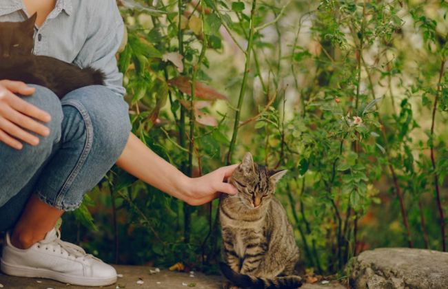 Какой уровень загрязненности воздуха и радиационный фон в Киеве 26 мая