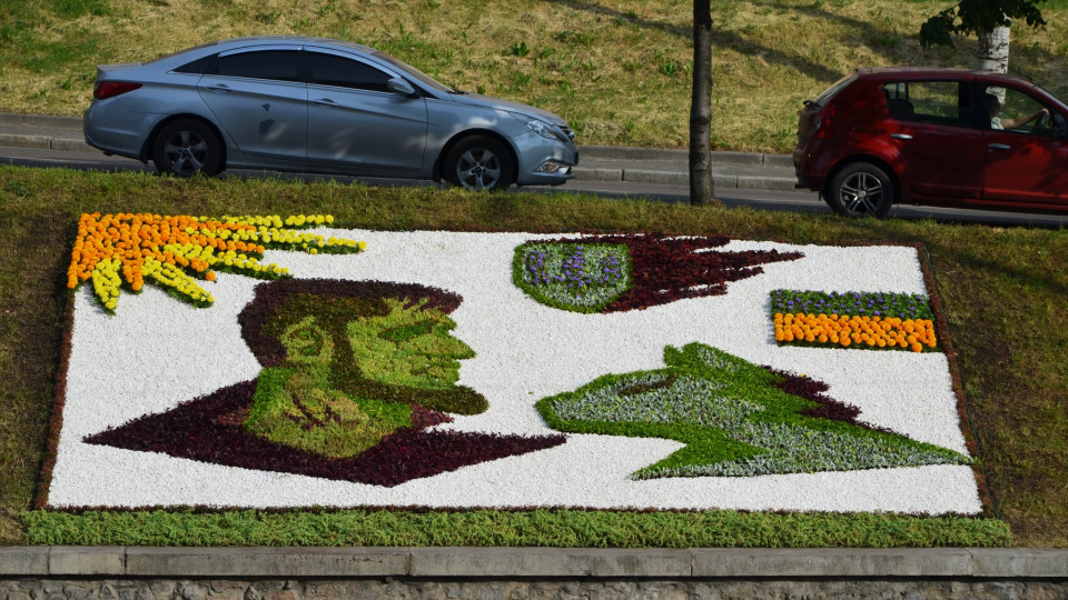 В Киеве появилась цветочная инсталляция, посвященная воину «Да Винчи», фото