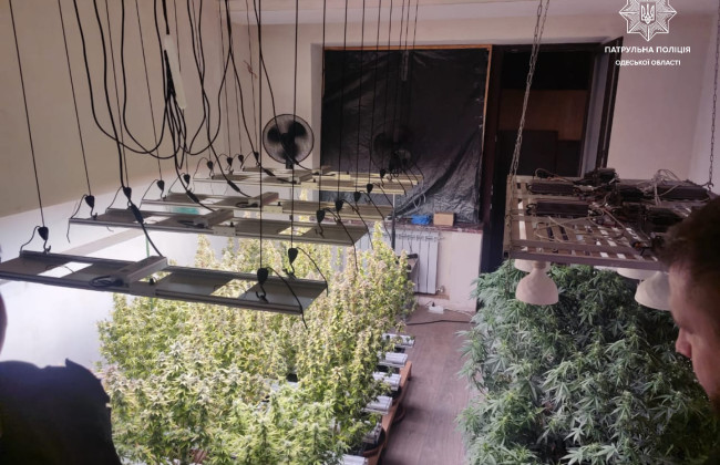 В Одесі поліція перевірила чоловіка, який грався на балконі зі зброєю, і знайшла в квартирі плантацію рослин та розфасований канабіс