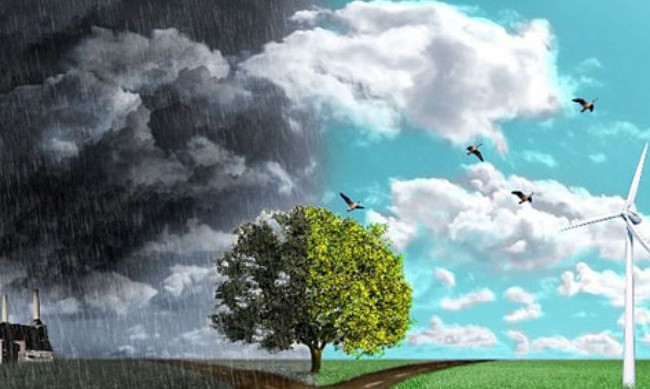 Общественность имеет право обращаться в суд по решению вопросов, касающихся права на безопасную окружающую среду – КГС ВС