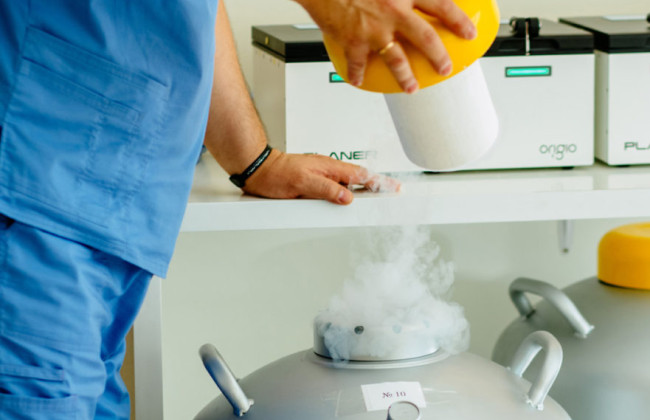 В законопроект о криоконсервации репродуктивных клеток военнослужащих активно вносятся поправки ко второму чтению – Радуцкий