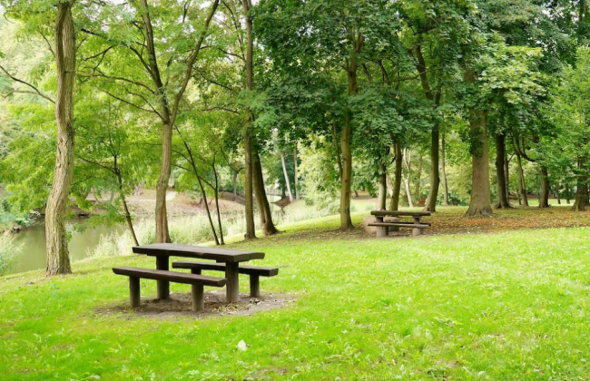 Какой уровень загрязненности воздуха и радиационный фон в Киеве 29 мая