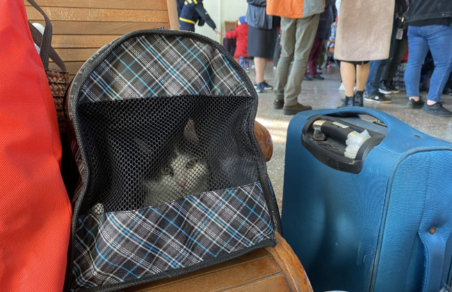 Укрзалізниця тестує стандартні вагони на маршруті Київ – Варшава