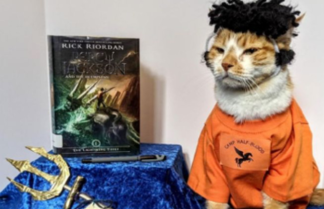 Кіт став співробітником бібліотеки: він отримав важливу посаду