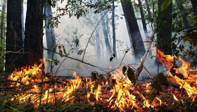 У низці областей України оголосили надзвичайний рівень небезпеки: які регіони під загрозою