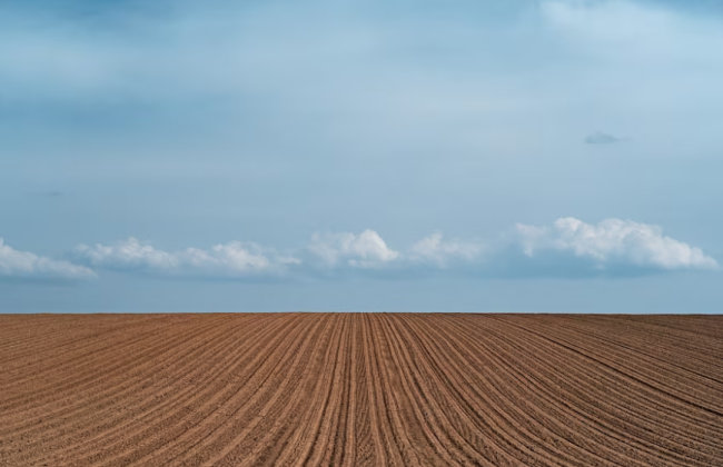 Депутаты хотят отсрочить покупку сельхозземель юридическими лицами