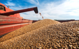 Еврокомиссия продлила до сентября запрет на импорт украинской агропродукции в ЕС, — СМИ