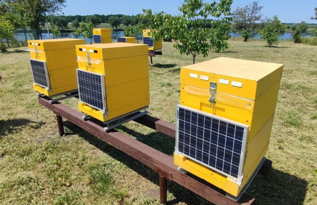 На Київщині уже відкрили першу у світі ІТ-пасіку