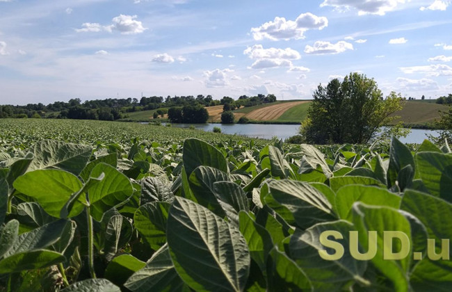 Аренда госземли: нужно ли подавать в ГНС договор