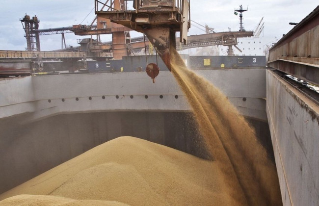 Экспорт агропродукции без уплаты налогов: в Одессе разоблачена преступная схема