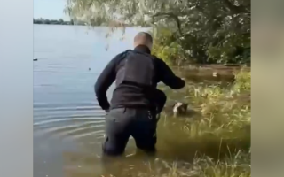 Поліцейський врятував собаку із водяної пастки на Херсонщині, відео